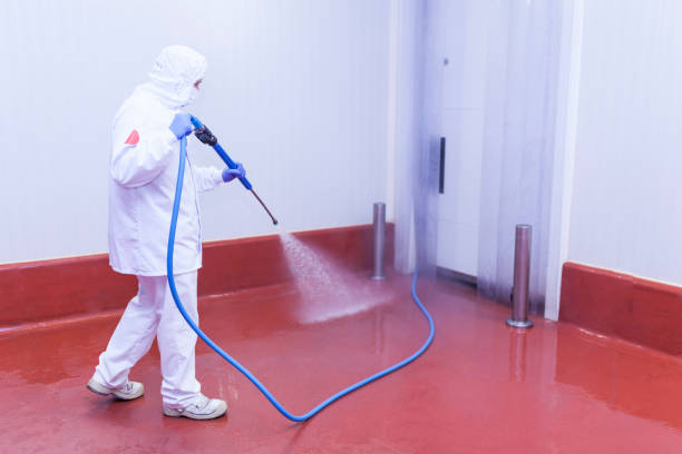 Reliable Shelby, NC Pressure Washing Services Solutions