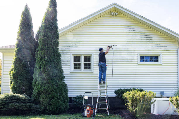 Best Gutter Cleaning and Brightening in Shelby, NC